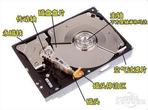 綠色未來，共贏商機——首能環保材料產品解析與加盟優勢